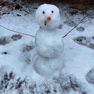 Meet your Posher, Caitlyn